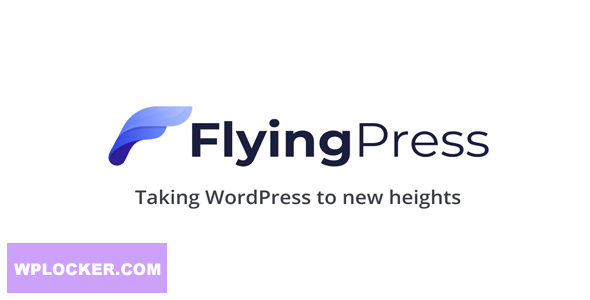 1613805429 flying press cover