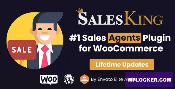 1633959880 salesking