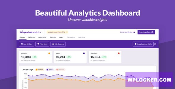 1692950324 independent analytics pro