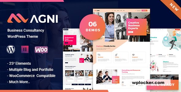 1750913553 agni consulting business