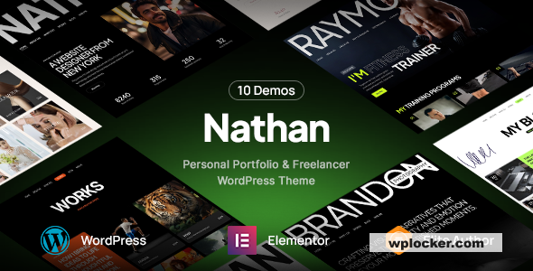 1754136734 nathan personal resume cv portfolio wordpress theme 1