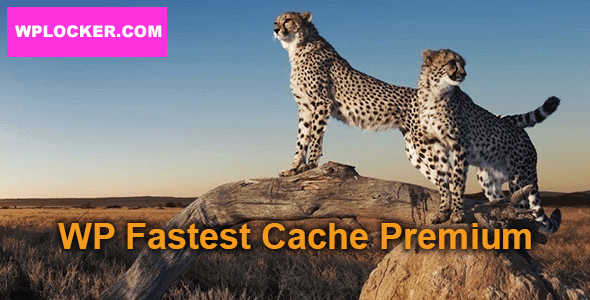 1588158311 wp fastest cache premium