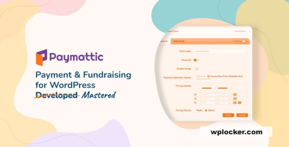 Paymattic Pro 4.6.10