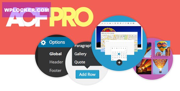 Advanced Custom Fields Pro v6.6.0
